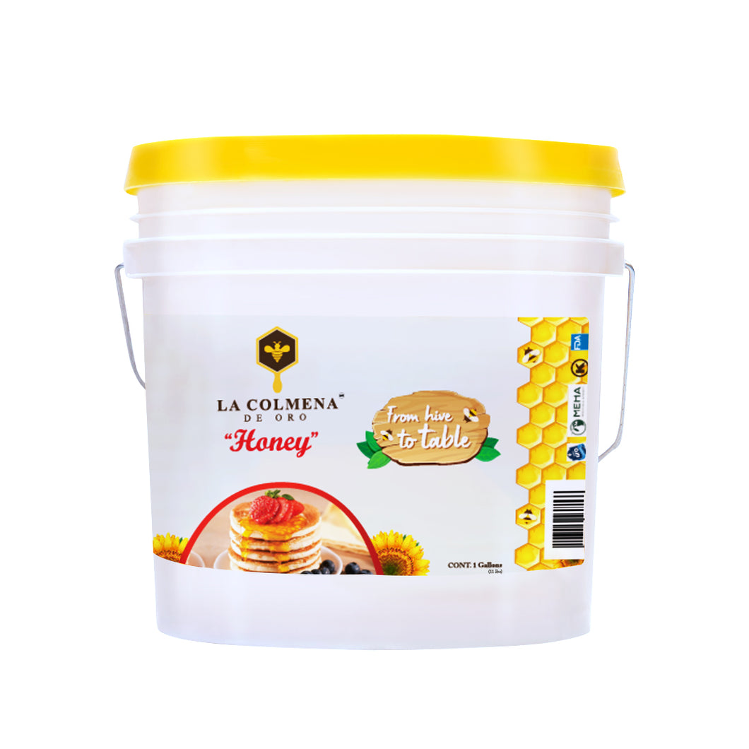 1 Gallon (11 lbs) Bucket of Colmena de Oro Raw Honey | Pre Sale!